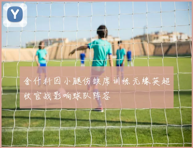 舍什科因小腿伤缺席训练无缘英超收官战影响球队阵容